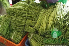 豆角(jiǎo)架上的六月 :記2018年羞羞视频网站豆角幹上市