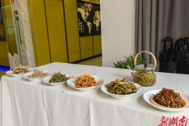 【創業青年在身邊(biān)】“黃花王子”肖智雄:“90後”新農人玩轉黃花(huā)菜