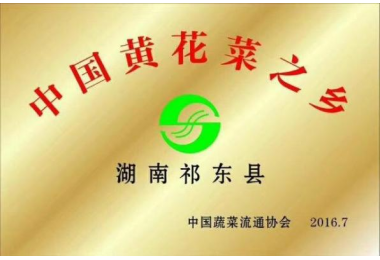 中國黃花菜之（zhī）鄉