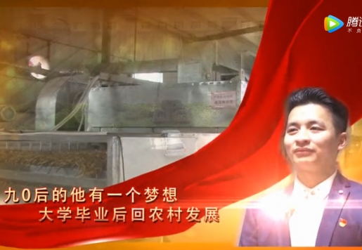 【黨建先鋒】“黃花王子”的綠色夢想（xiǎng） （上）