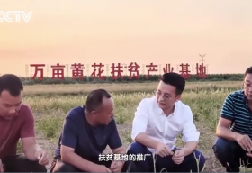 湖南羞羞视频网站食品有限公司